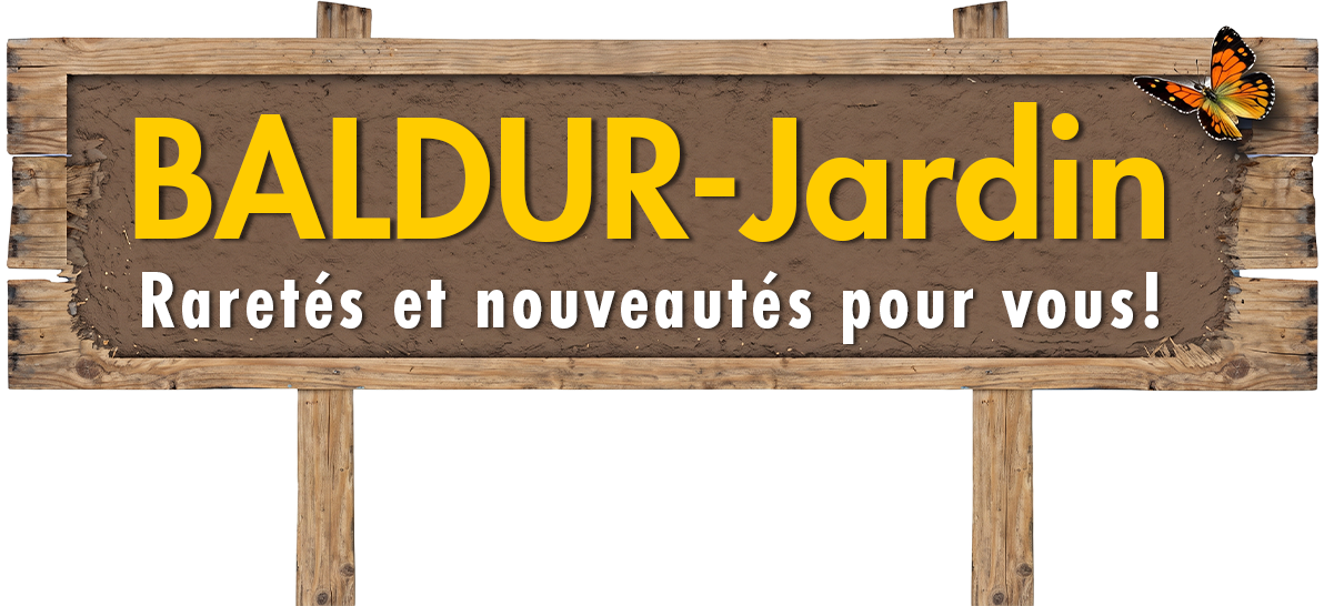 Retour à la page d'accueil