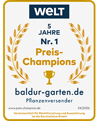 Welt
