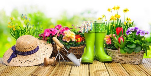 Jardinage avec des fleurs et un arrosoir